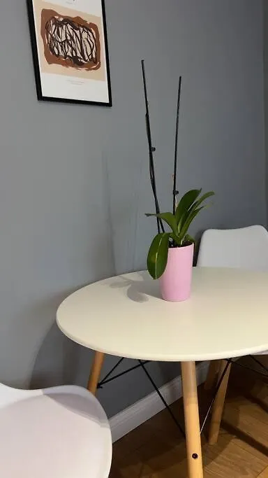 Bee Apartment 3-City Center Retreat Tirana